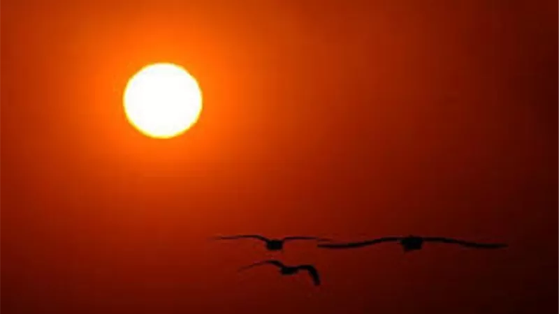 يشك فى انه افطر قبل الوقت من اسبوع مضى _فما الحكم