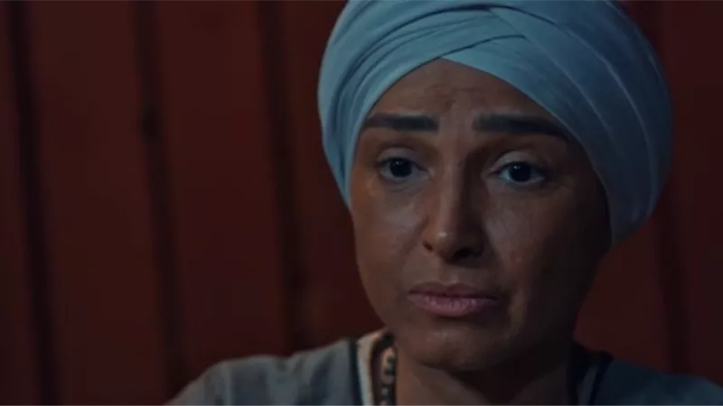 روجينا رقم واحد في رمضان.. وبصمة رؤوف عبد العزيز تطغي على الأحداث