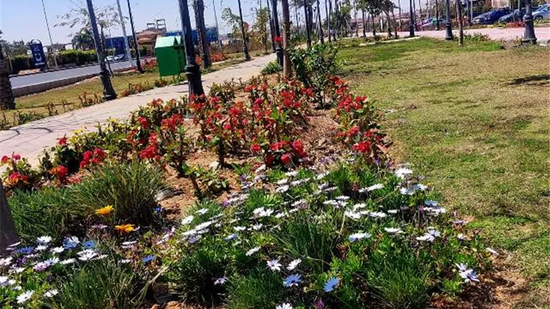تعرف على أحدث مشروعات الزراعة والتجميل فى مدينة 6 أكتوبر.. بالصور
