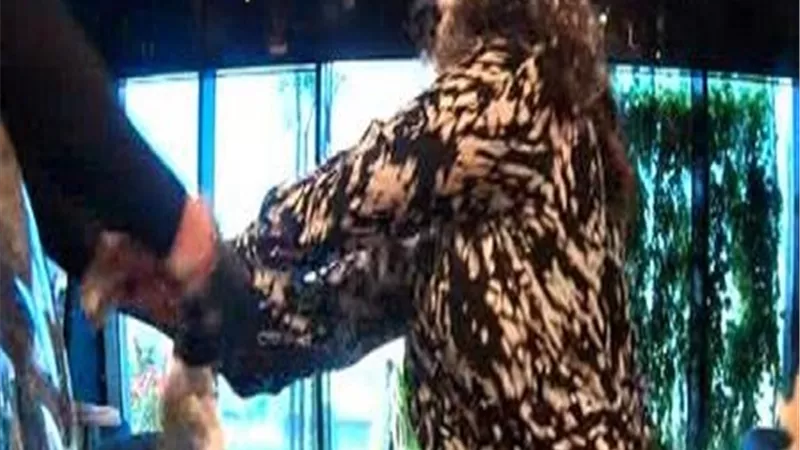عمرها ما وصلت القمة.. رامز جلال يسخر من وفاء عامر
