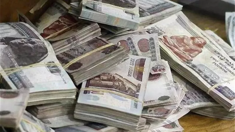 ضبط شخصين كونا 30 مليون جنيه ثروة بطريقة غير مشروعة