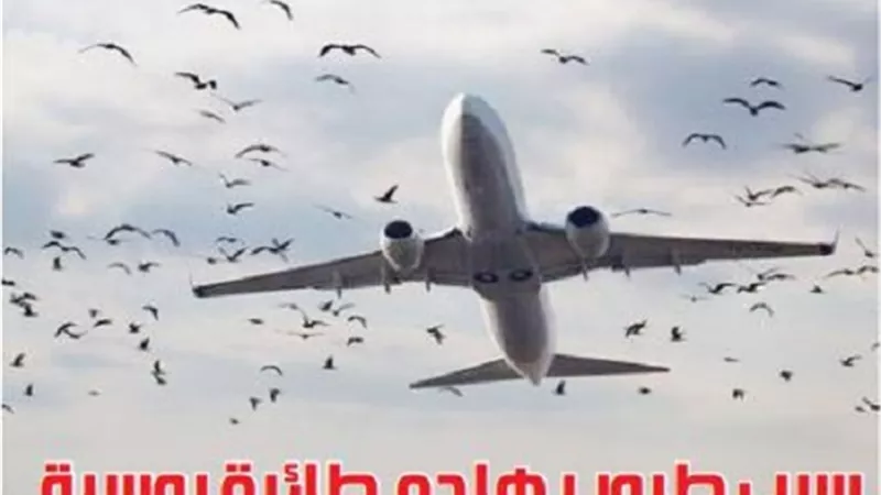 سرب طيور يهاجم طائرة روسية