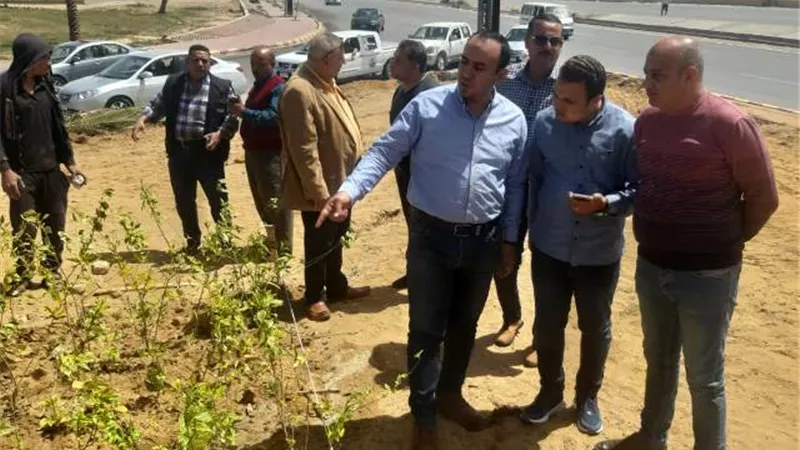 جهاز الشروق يعلن عن أهم مشروعات الزراعة والتجميل الجديدة.. صور