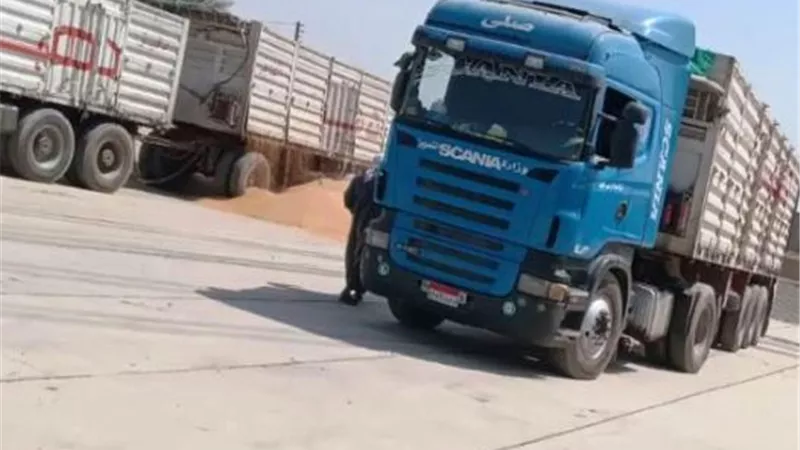 محافظ أسوان يتابع إستلام أول بشائر محصول حصاد القمح