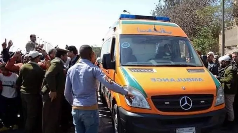 مصرع واصابة 24 شخصا فى حادث تصادم على طريق أبو سمبل باسوان