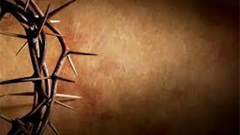 طقس أسبوع الالام بعد أحتفالات أحد الشعانين وحتى القيامة.. فيديو