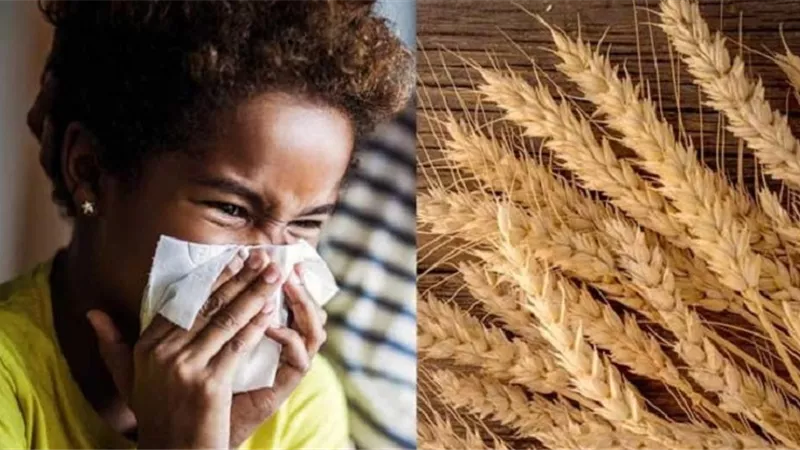 الأطعمة المسموح بها لمرضى حساسية القمح.. ونصائح للتعايش معه