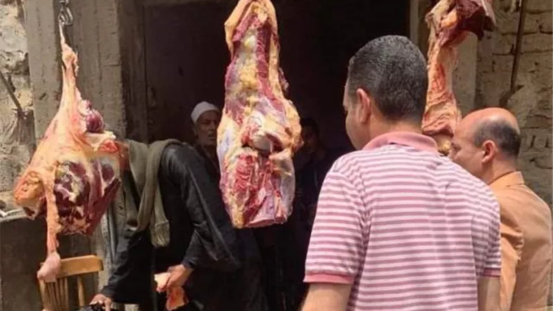 تحرير 5 محاضر للذبح خارج المجازر فى أبوقرقاص