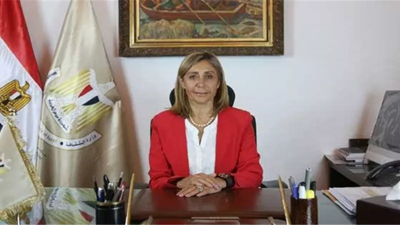وزيرة الثقافة تُعلن نتائج الدورة الثالثة لجائزة الدولة للمبدع