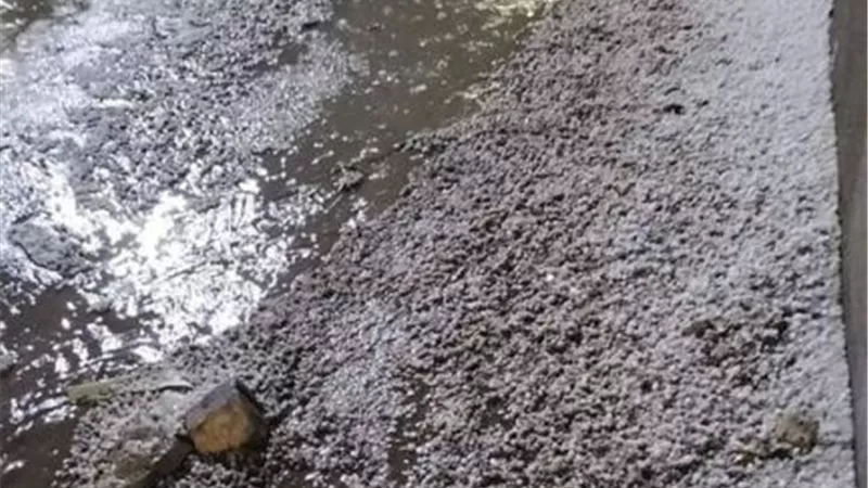 برق ورعد وأمطار غزيرة وثلوج في الإسماعيلية..صور