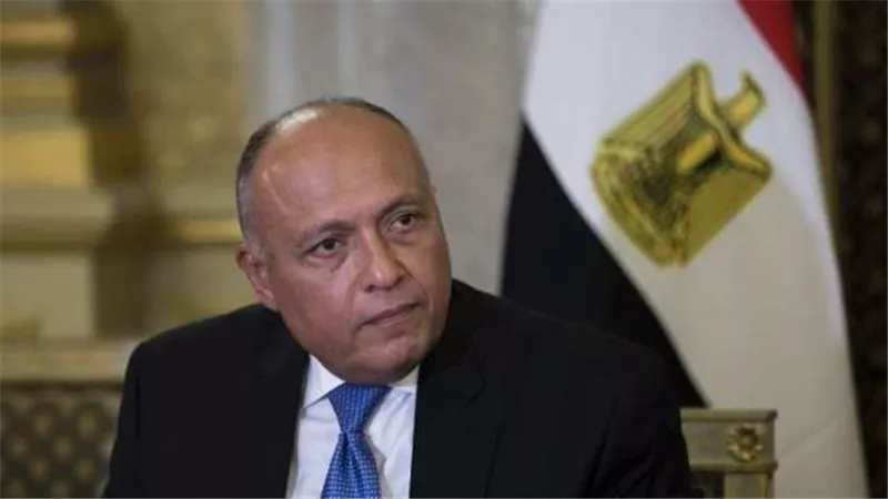 وزير الخارجية يزور أنقرة بدعوة من نظيره التركي.. غدًا الخميس