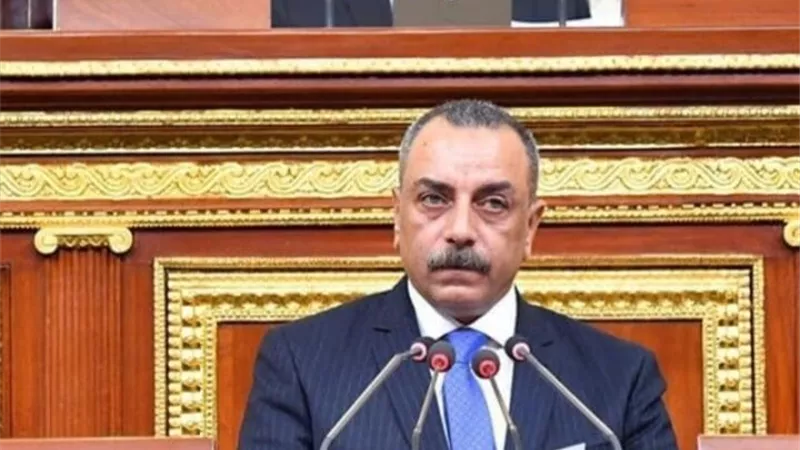 تعديلات قانون الجنسية المصرية بعد إقراراه