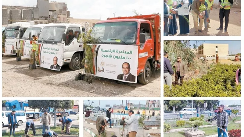 زراعة 100 مليون شجرة مثمرة.. تحقق نتائج كبيرة