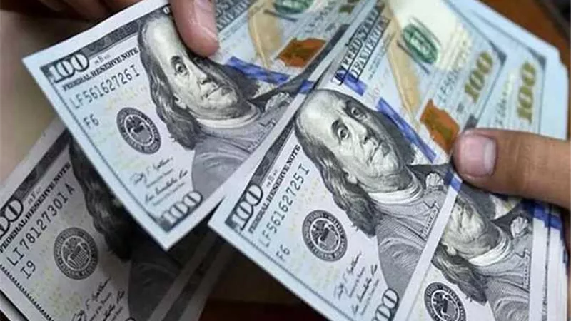 شعبة المستوردين: الدولار يبدأ في التراجع أمام العملات الأخرى