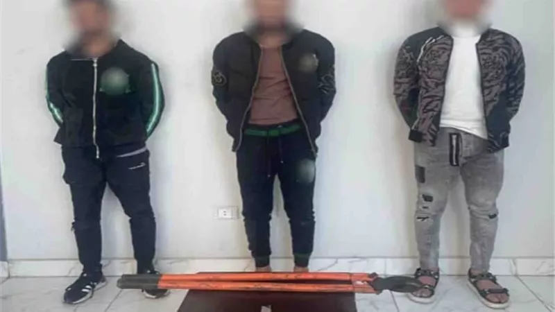 بينهم سيدتين .. ضبط لصوص بالعاصمة