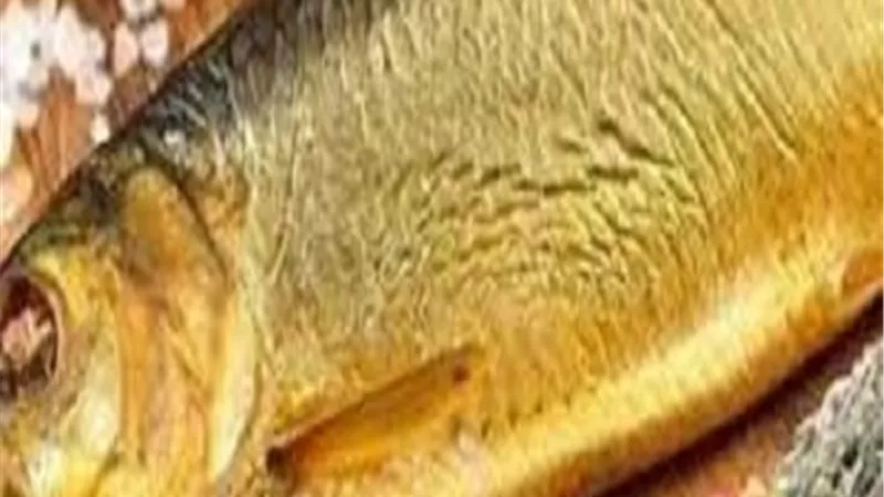 هؤلاء ممنوعون من تناول الفسيخ والرنجة فى عيد الفطر وشم النسيم