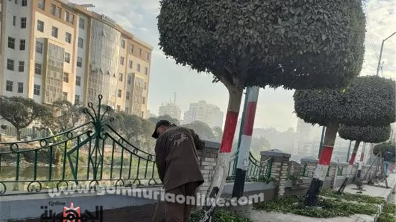 تكليف رؤساء المدن بالشرقية بتكثيف أعمال النظافة بمحيط الكنائس