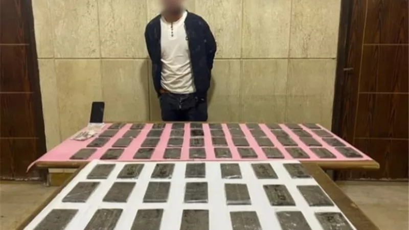 ضبط شخص بـ65 طربة حشيش في شمال سيناء