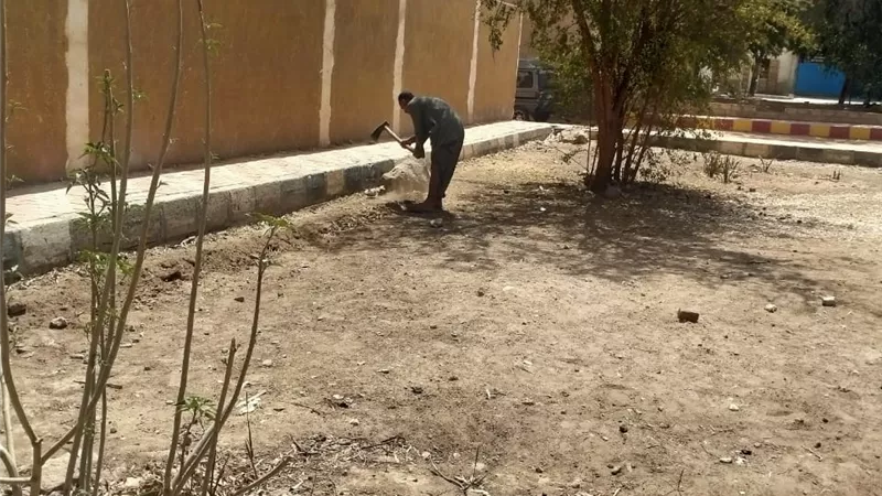 محافظ أسيوط: تنفيذ أعمال تشجير وزراعة شتلات بمركز الغنايم