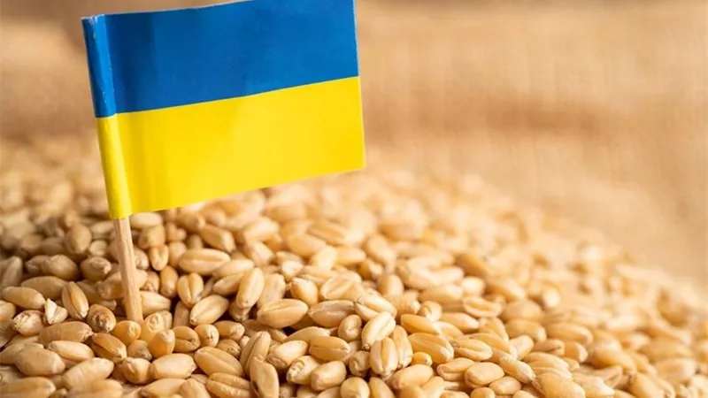 بلغاريا تدرس فرض حظر على واردات الحبوب من أوكرانيا