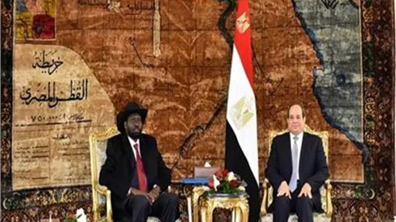مصر وجنوب السودان تؤكدان استعدادهما للوساطة بين الأطراف السودانية