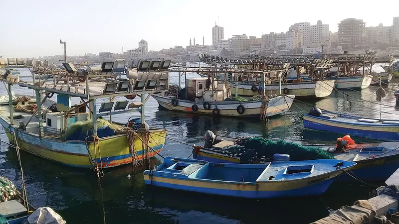 الجيش الإسرائيلي يعتقل 4 صيادين فلسطينيين قبالة سواحل غزة