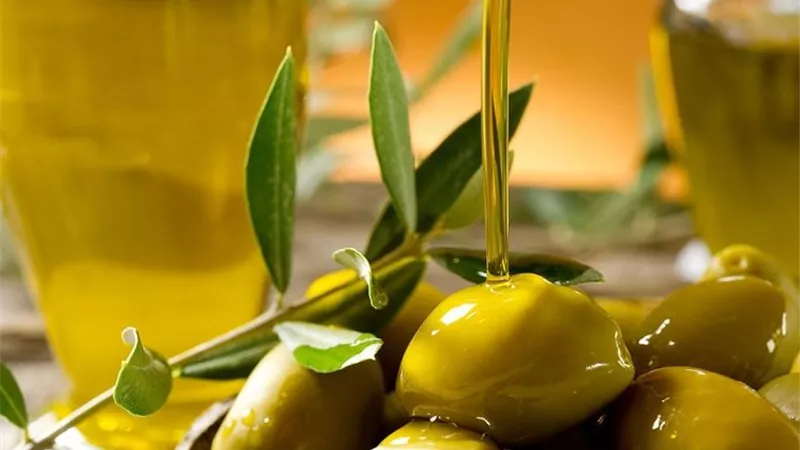 امراض يحاربها زيت الزيتون