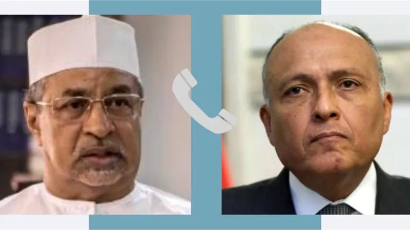 وزير الخارجية يناقش تطورات الوضع في السودان مع نظيره التشادي