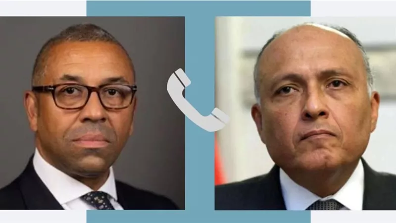 شكري يؤكد لنظيره البريطاني أهمية التوصل لاتفاق لوقف إطلاق النار في السودان في أقرب وقت