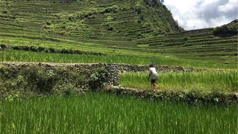 سكان المناطق المرتفعة لديهم نسبة أقل من أمراض التمثيل الغذائي