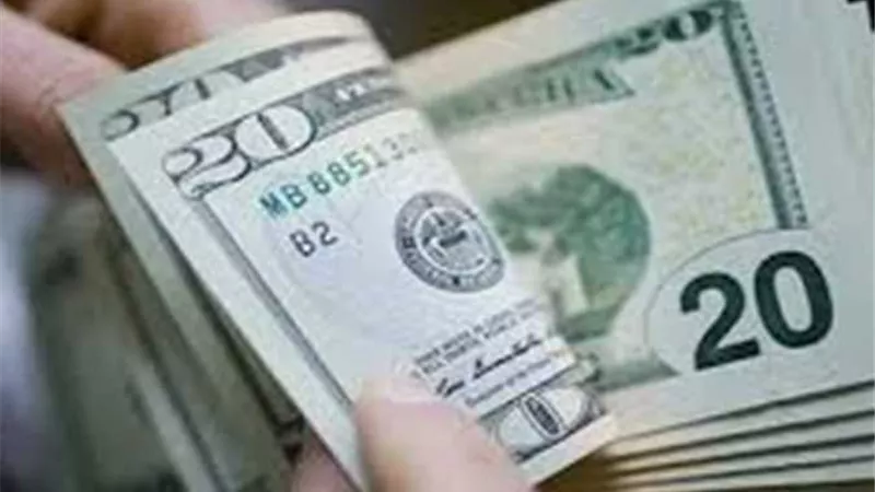 العملة الخضراء تتجه لتحقيق أول مكاسب أسبوعية منذ فبراير