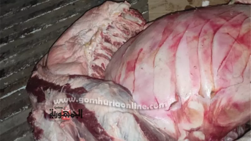 ضبط 300كجم لحوم غير صالحة للاستهلاك الآدمى وتحرير164محضر تموينى