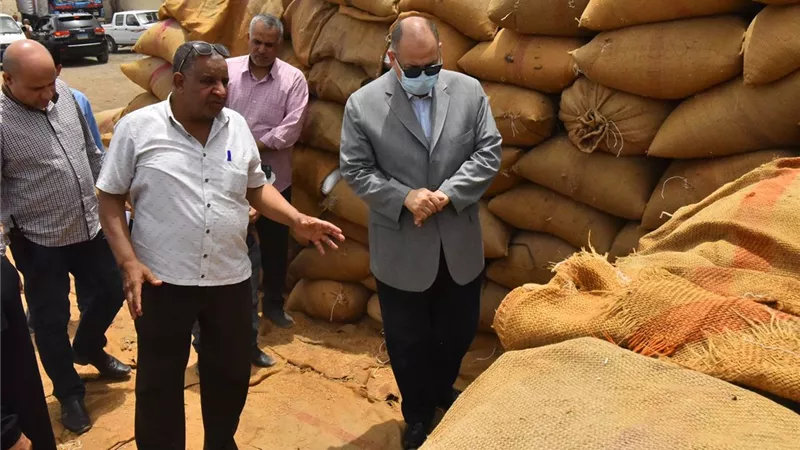 محافظ أسيوط يعلن زراعة 170 ألف فدان قمح