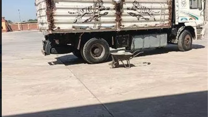 صوامع وشون الشرقية تستقبل2715 طنا من الأقماح الذهبية