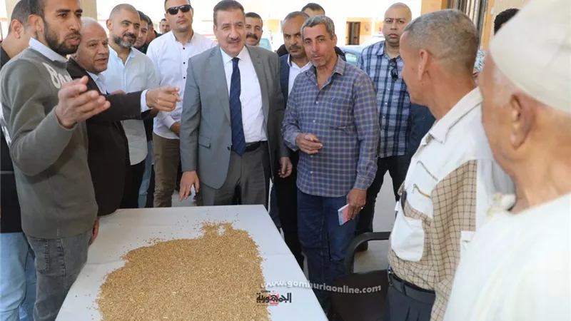 محافظ المنوفية : توريد 174 طن قمح وإنتظام فتح كافة الصوامع