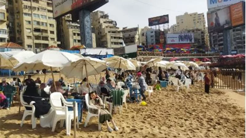 اقبال على الشواطئ وقلعة قايتباي وحديقة الحيوان