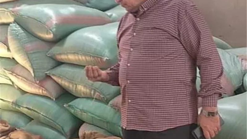 توريد 3268 طن من محصول القمح بالشون والصوامع الحكومية بالمنيا