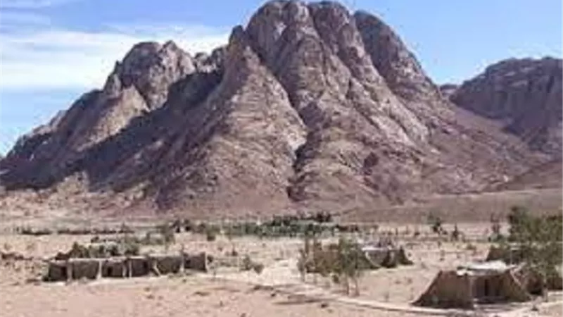سيناء والقرآن_كيف قدمها المولى عز وجل على البلد الامين