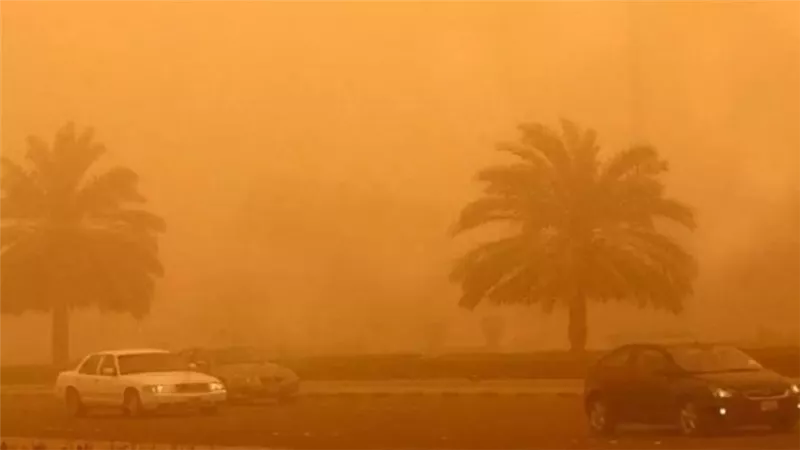عواصف ترابية وانخفاض درجات الحرارة في الوادي الجديد