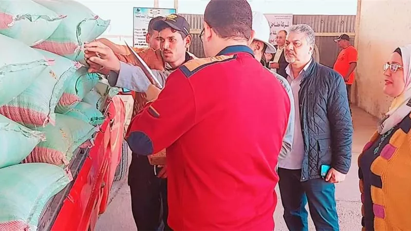 محافظ بو سعيد يوجه بتسهيل كافة الاجراءات أثناء توريد محصول القمح