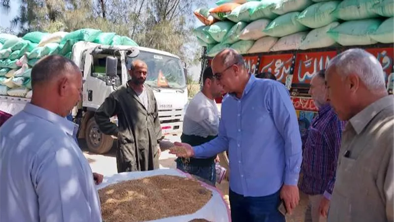 وكيل وزارة التموين يتابع استلام 770طن قمح بصومعه بني عبيد وشونه