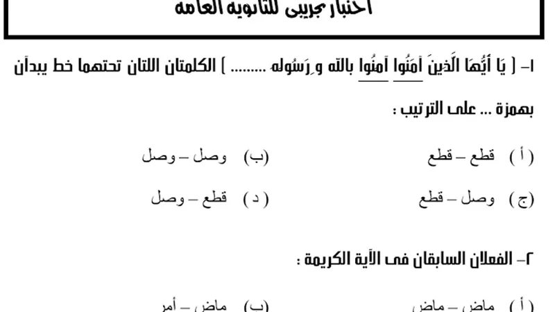 هام لطلاب الثانوية العامة.. اختبار تجريبي في اللغة العربية