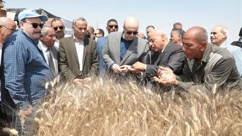 محافظ بني سويف يفتتح موسم حصاد وتوريد القمح