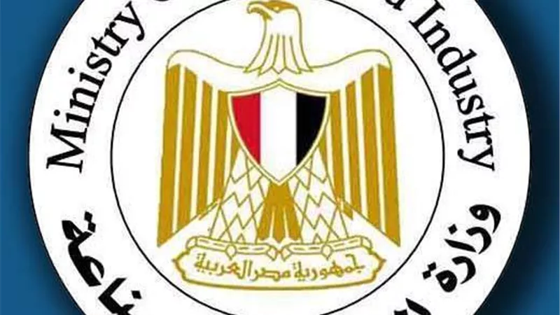 وزير التجارة:2 مليار و117 مليون دولار حجم التجارةبين مصر وإفريقيا