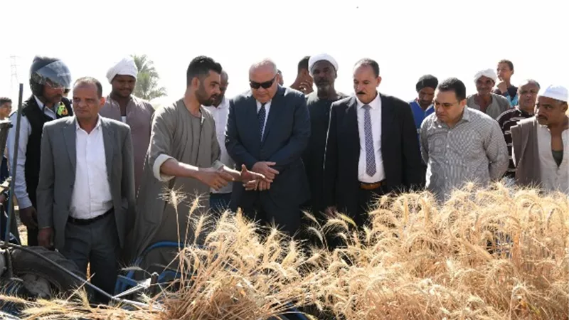 محافظ قنا يفتتح موسم حصاد القمح
