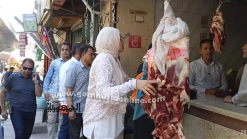 تحرير 8 مخالفات خلال حملة على محلات الجزارة والمخابز بالمنيا