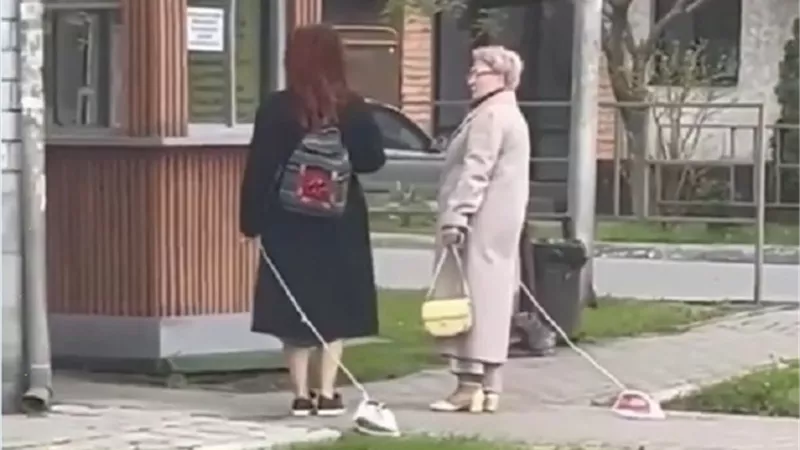 أخر موضة .. التنزه مع 