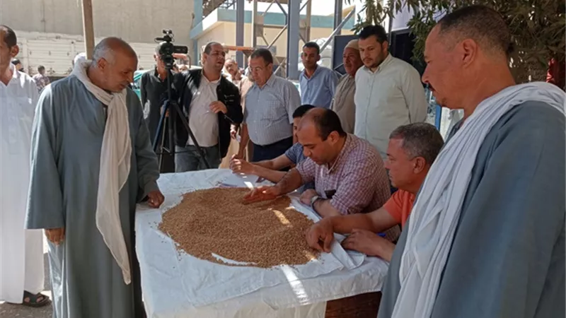 التموين: توريد 285 ألف طن قمح محلى على مستوي الجمهورية
