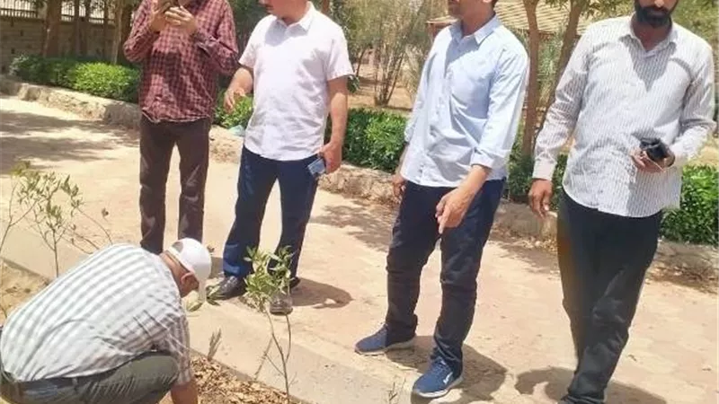 محافظ أسيوط يتابع الوحدات المحلية في مبادرة 100 مليون شجرة