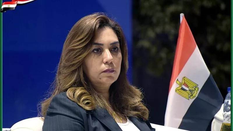 توريد ١٨٨٠ طن قمح إلي الشون والصوامع بدمياط